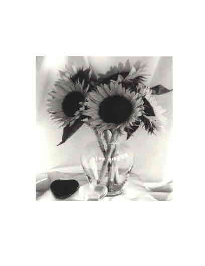 Black and White sunflowers